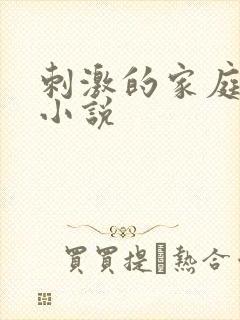 刺激的家庭乱仑小说封面