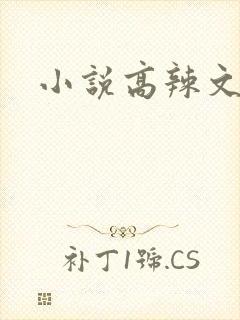 小说高辣文高h