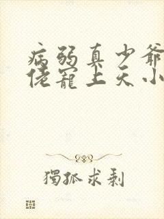 病弱真少爷被大佬宠上天小说封面