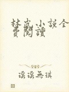 林岚小说全文免费阅读