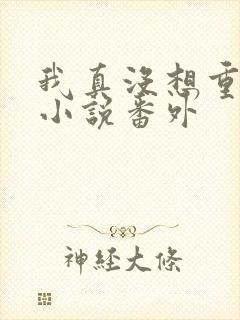 我真没想重生啊小说番外