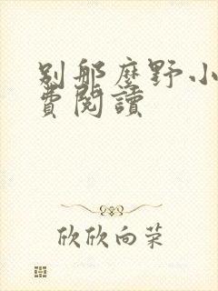 别那么野小说免费阅读封面