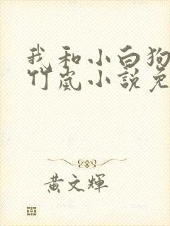 我和小白狗狗陈竹岚小说免费阅读