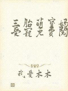 三胎萌宝妈咪超受宠免费阅读小说无弹窗封面