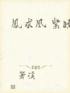 凤求凰 紫晓