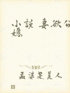 小说 妻欲公与媳