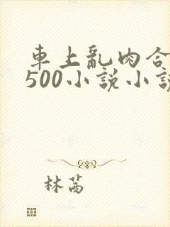 车上乱肉合集乱500小说小说