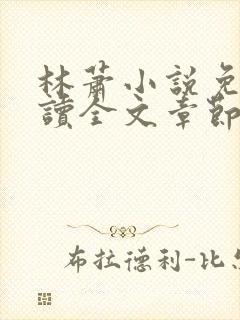 林萧小说免费阅读全文章节