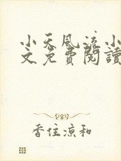 小天风流小说全文免费阅读无弹窗下
