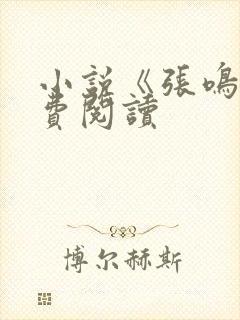 小说《张鸣》免费阅读