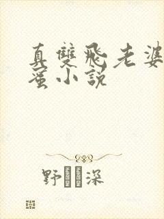 真双飞老婆和闺蜜小说封面