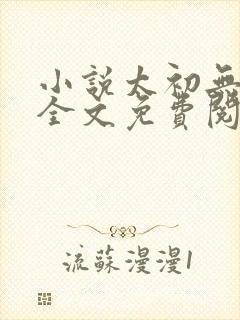 小说太初无弹窗全文免费阅读