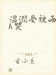 温润受被两个攻h哭封面