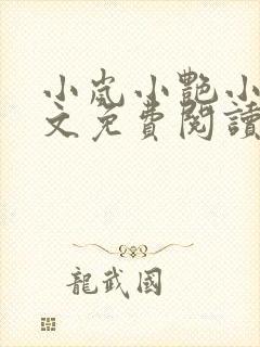 小岚小艳小说全文免费阅读最新章节封面