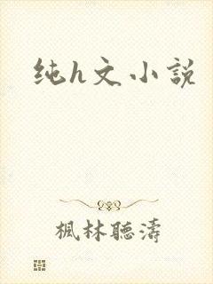 纯h文小说