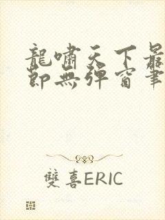 龙啸天下最新章节无弹窗笔趣阁