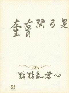 左右开弓是什么生肖