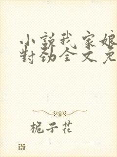 小说我家娘子不对劲全文免费阅读免费