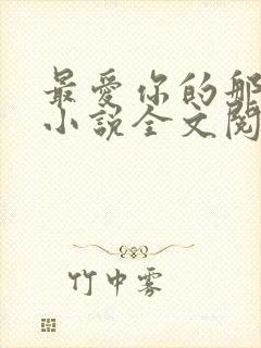 最爱你的那十年小说全文阅读免费