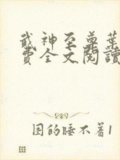 武神至尊叶风免费全文阅读无弹窗