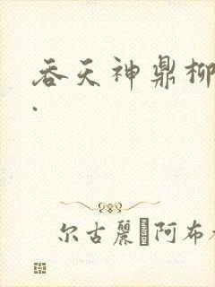吞天神鼎柳无邪.