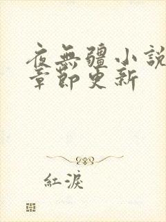 夜无疆小说最新章节更新封面