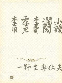 李霖李澜小说主角免费阅读正版