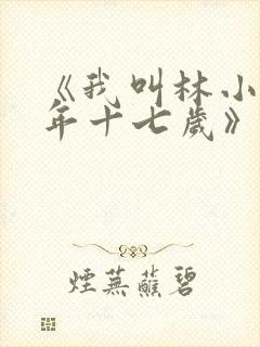 《我叫林小喜今年十七岁》封面
