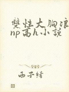 双性大胸浪荡受np高h小说