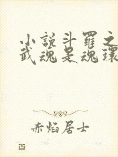 小说斗罗之我的武魂是魂环txt