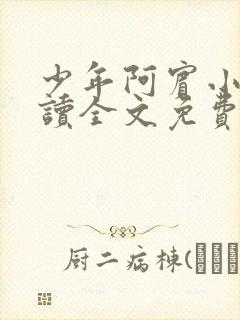 少年阿宾小说阅读全文免费无删减