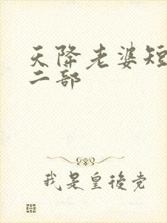 天降老婆短剧第二部封面