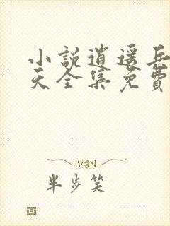 小说逍遥兵王洛天全集免费阅读全文