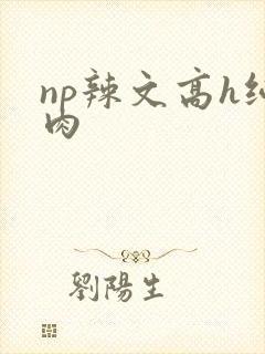 np辣文高h纯肉