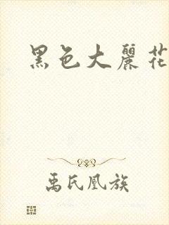 黑色大丽花图片