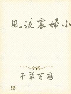 风流寡妇小说