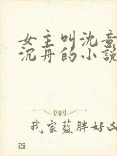 女主叫沈意欢陆沉舟的小说免费阅读