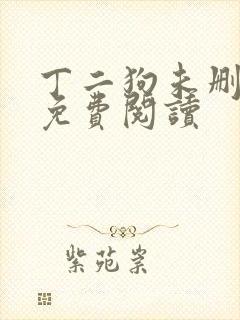 丁二狗未删减版免费阅读