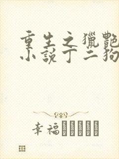 重生之猎艳人生小说丁二狗免费阅读