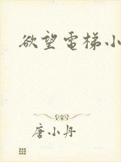 欲望电梯小说