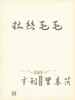 拉丝毛毛
