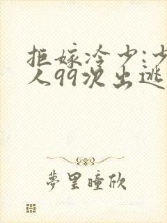 拒嫁冷少:少夫人99次出逃
