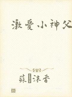 激爱小神父
