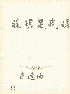 苏玥是我媳妇儿