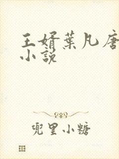王婿叶凡唐若雪小说