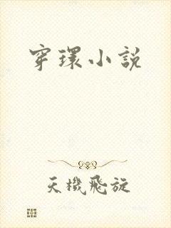 穿环小说封面