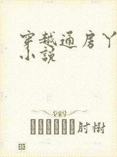 穿越通房丫鬟的小说
