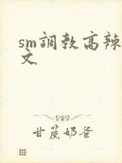 sm调教高辣h文