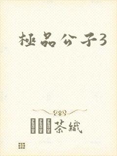 极品公子3