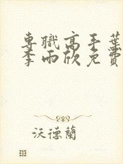 专职高手叶凌天李雨欣免费阅读封面